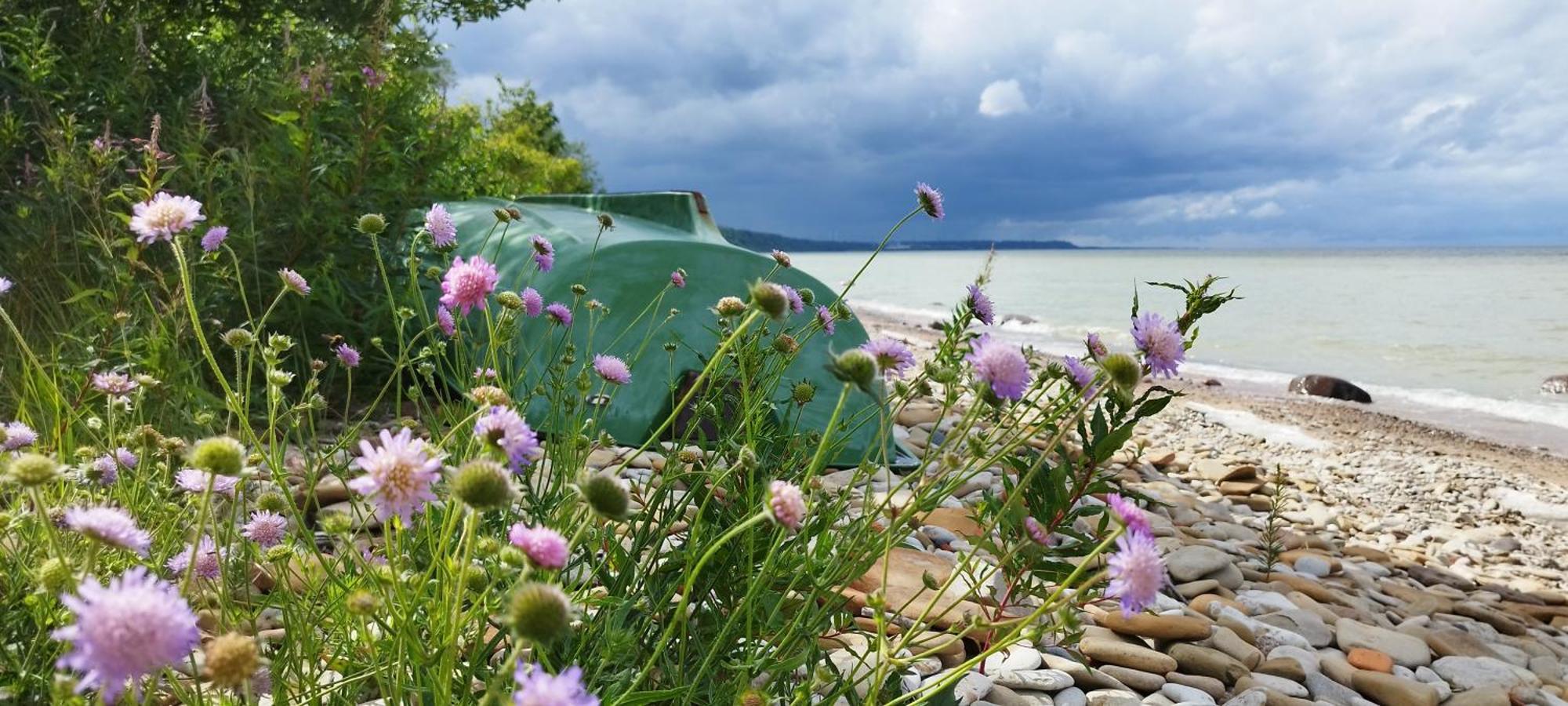 Mereaeaere Glamping Ja Rannamaja Liimala Exteriör bild